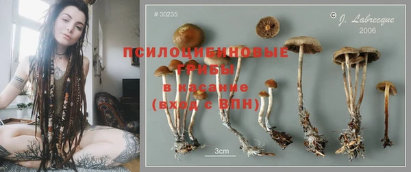 СК Медногорск