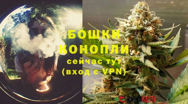 СК Медногорск