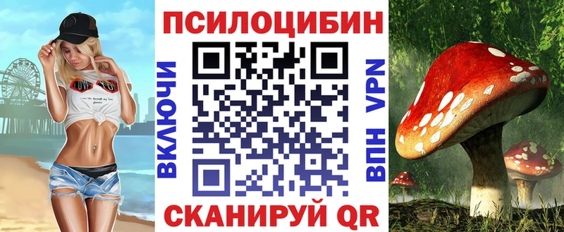 Псилоцибиновые грибы Psilocybe Новосиль