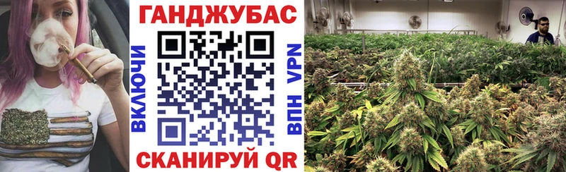 наркота  Новосиль  мега   Каннабис семена 